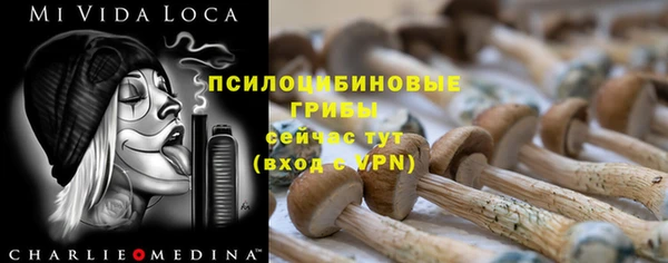 герыч Алексин