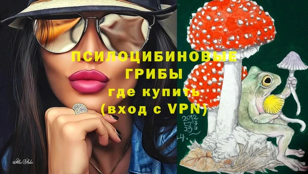 эйфоретик Алзамай