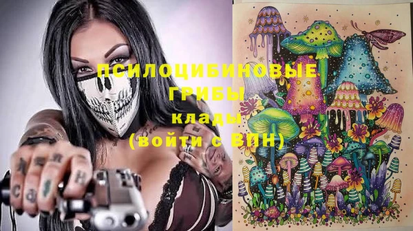 эйфоретик Алзамай